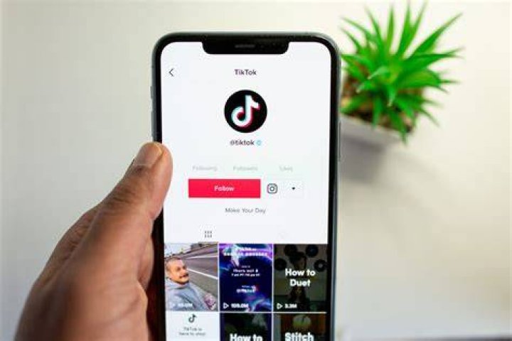 10 cuentas de TikTok originales que te gustar&aacute; seguir