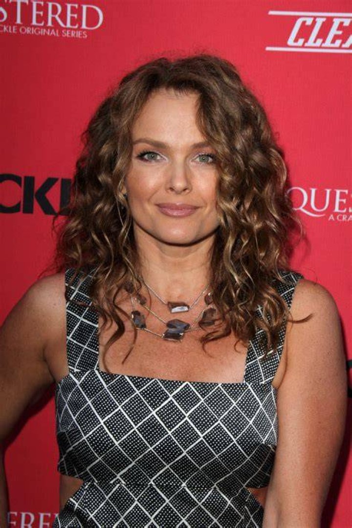 Dina Meyer Birthday and other facts