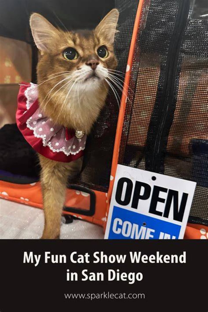 The FUN Show with Cat & Nat Riverwalk Fort Lauderdale